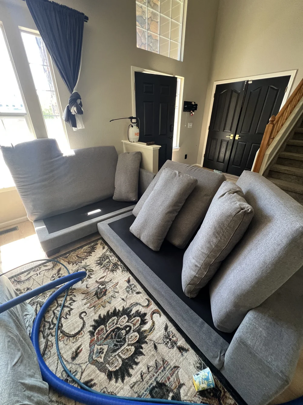 Clean area rug in a family living room